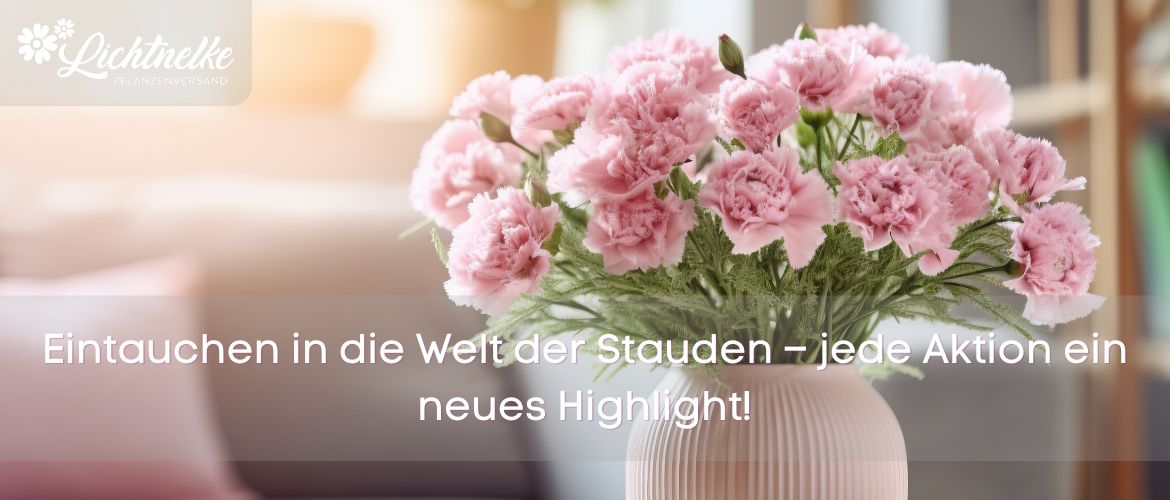 Pflanze der Woche NEWSLETTER