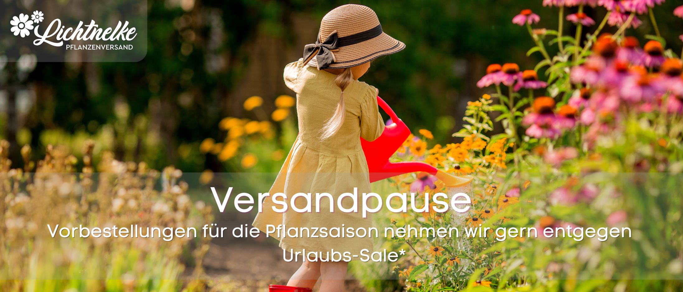 Pflanze der Woche